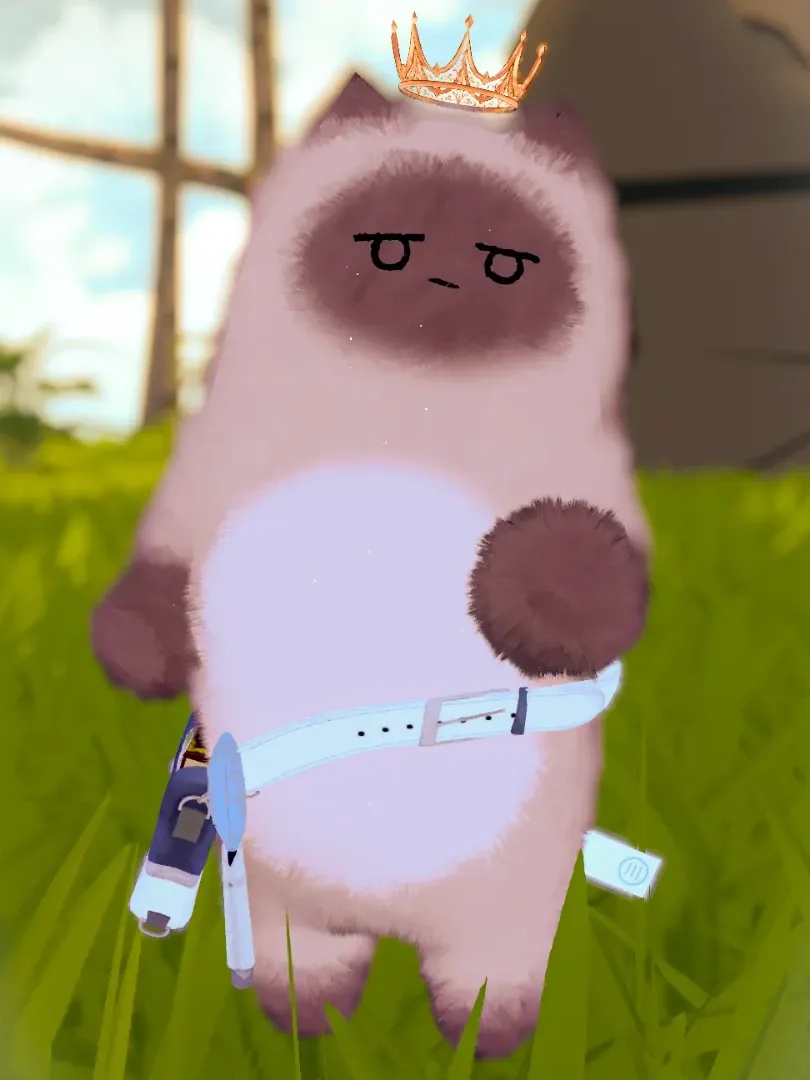 ネコチヤン の画像