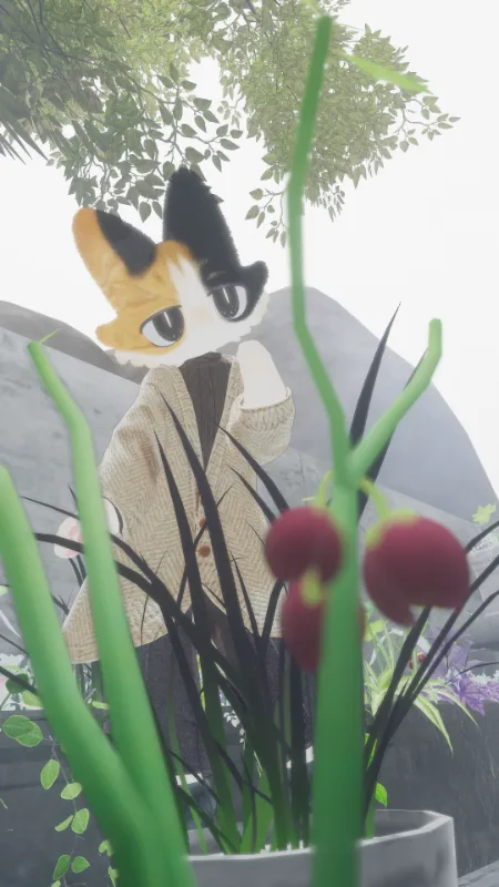フィニシフ の画像